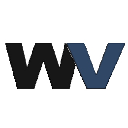 Working Ventures Insuruance Solutions image