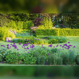 Landscape Design Essex image