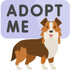 PetAdopt Feed Reviews | RateItAll