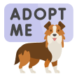 PetAdopt Feed image