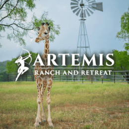 Artemis Ranch & Retreat image